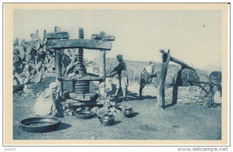 Algeria, Kabylie, Moulin A Huile Oil Press Mill, Traditional Dress, C1910s Vintage Postcard - Métiers