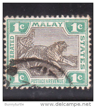 Malaya Federated Malay States 1901 Tiger 1c Wmk 2 Used - Federated Malay States