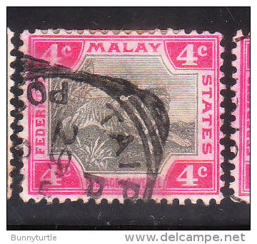 Malaya Federated Malay States 1901 Tiger 4c Used - Federated Malay States