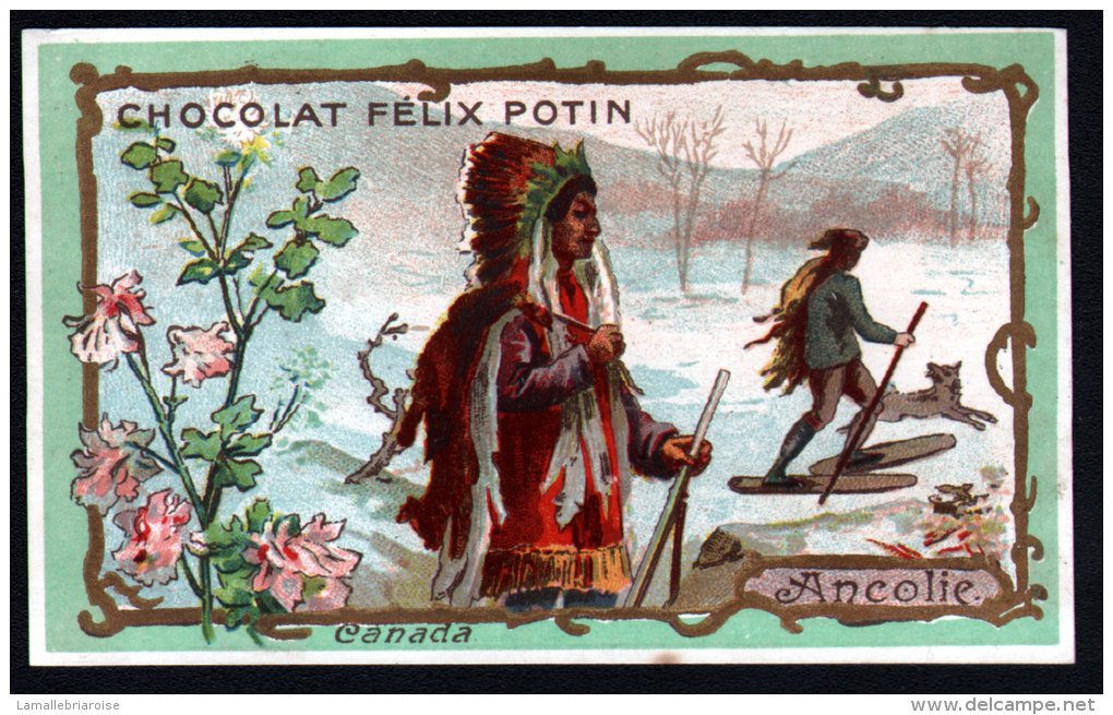 CHROMO CHOCOLAT FELIX POTIN - CANADA - ANCOLIE - INDIEN LOUP - Félix Potin