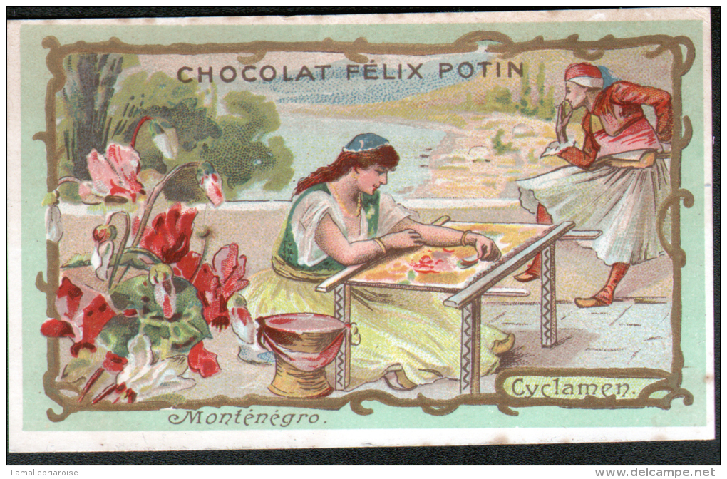 CHROMO CHOCOLAT FELIX POTIN - MONTENEGRO - CYCLAMEN - Félix Potin