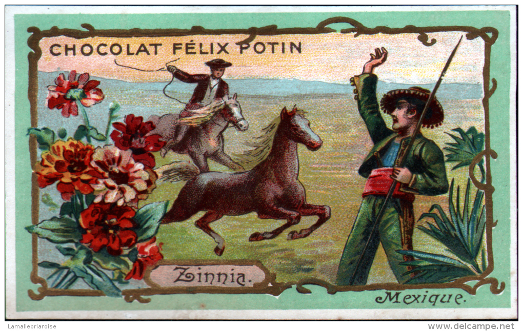 CHROMO CHOCOLAT FELIX POTIN - MEXIQUE - ZINNIA - CHEVAUX SAUVAGES - Félix Potin