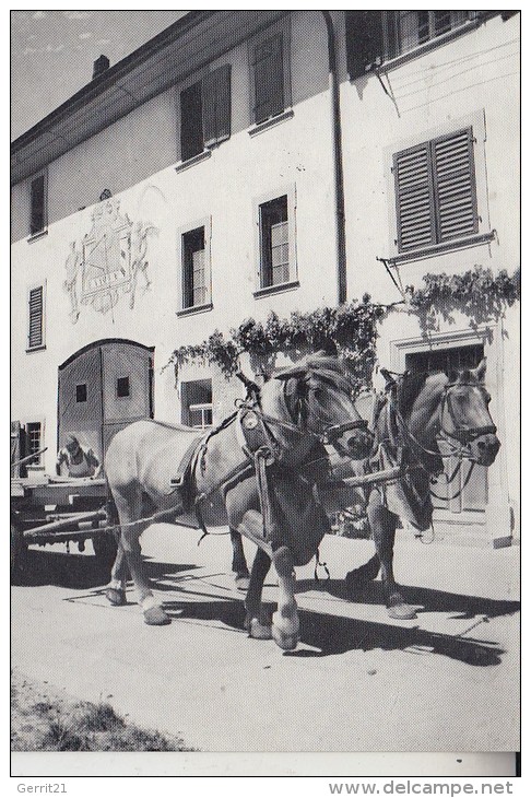 CH 8213 NEUNKIRCH, Bauernhof - Neunkirch