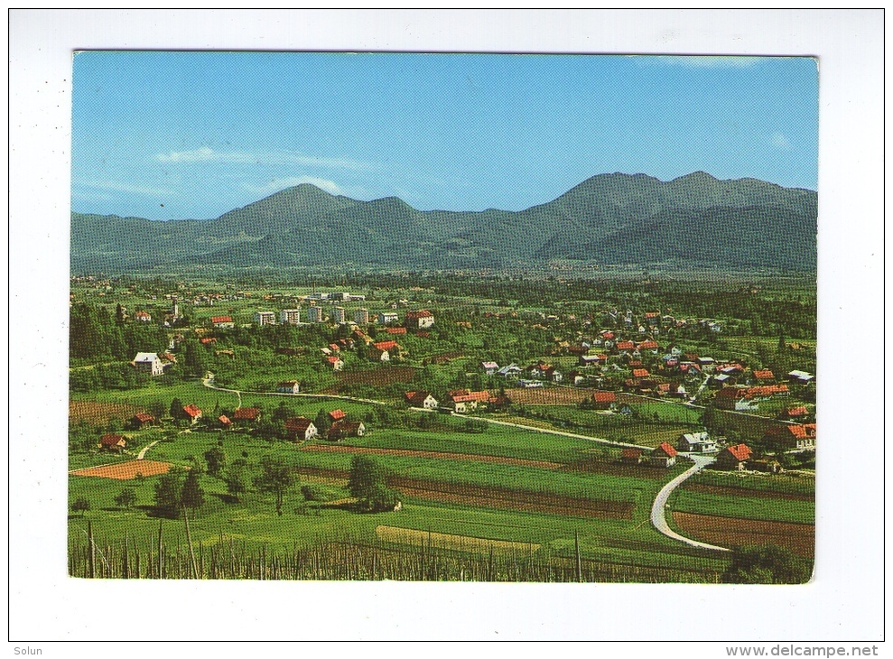 RAZGLEDNICA  POLZELA  1969   SLOVENIA POSTCARD - Slovénie