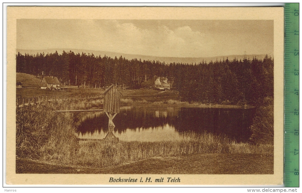 Bockswiese I. H. Mit Teich,  Verlag: Kosmos, Halberstadt ,Postkarte,  Erhaltung: I-II, Unbenutzt - Oberharz