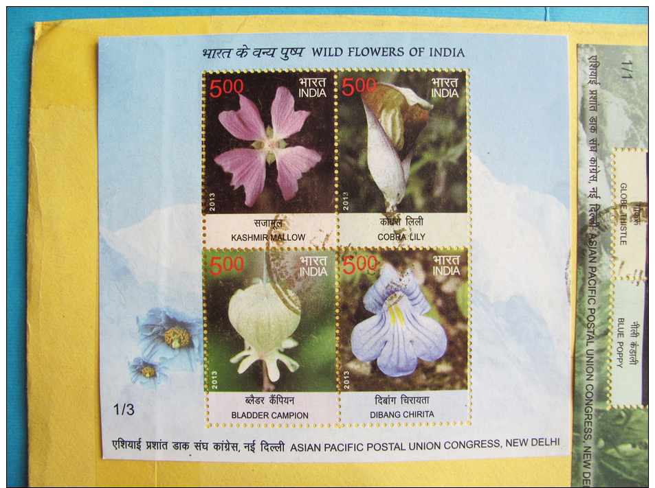 Busta Dall´India Con 2 Foglietti WILD FLOWERS OF INDIA - ASIAN PACIFIC POSTAL UNION CONGRESS NEW DELHI - Usati