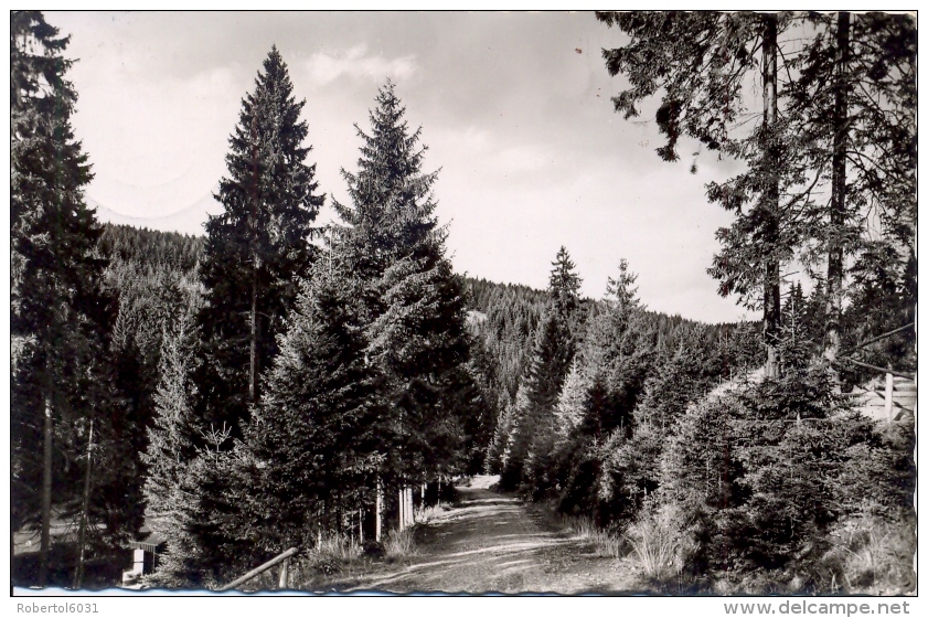 Germany BRD Picture Postcard Clausthal-Zellerfeld Posted 1957 - Clausthal-Zellerfeld