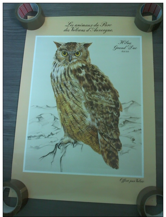 Poster Hibou Grand Duc Parc Des Volcans D´Auvergne Volvic - Manifesti