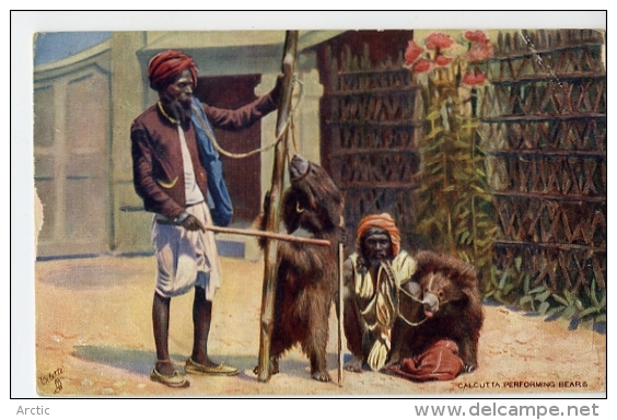 Calcutta Performing Bears  (montreurs D'ours) Oilette - India