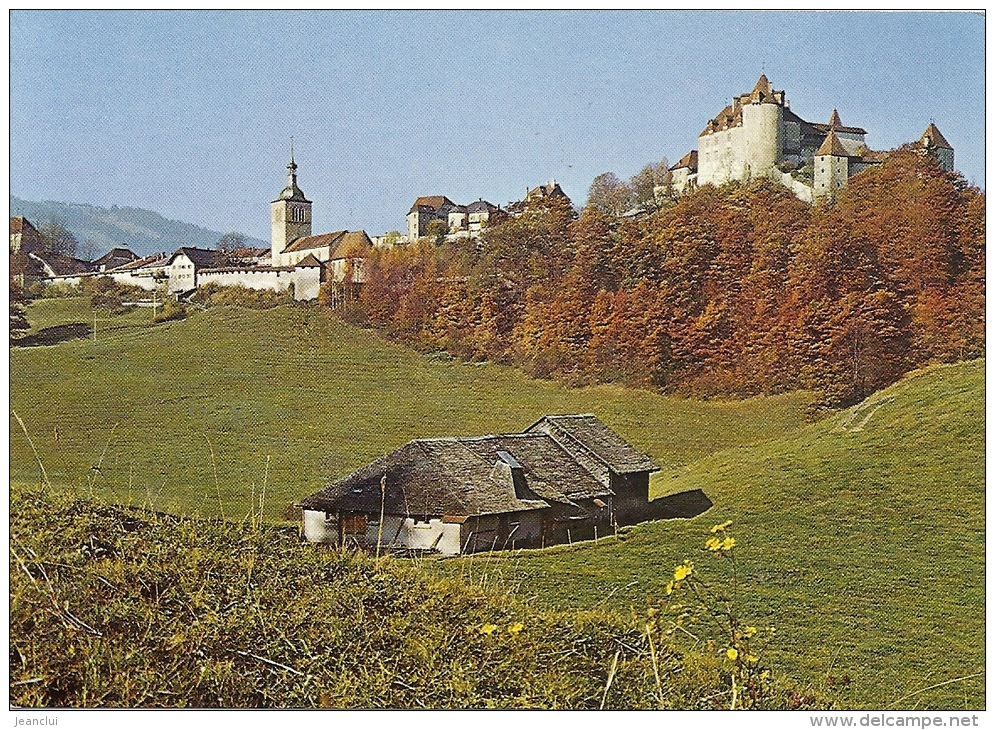 --GRUYERES--VUE DE L EST--NON ECRITE-- - Gruyères