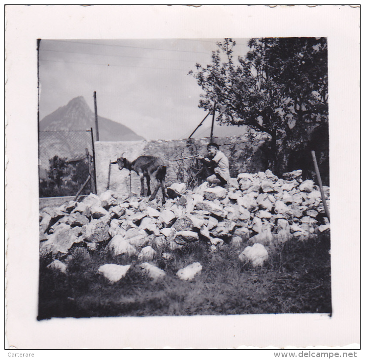 Isere,grésivaudan,hauteur ,enfant Chasseur,entrainement,chèvre,tas De Pierres,photo Originale,photographie,fi Ls De Pays - Places