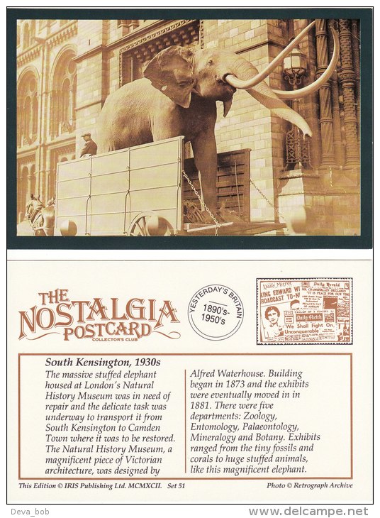 Postcard Elephant Natural History Museum South Kensington London 1930s Nostalgia Repro - Elephants