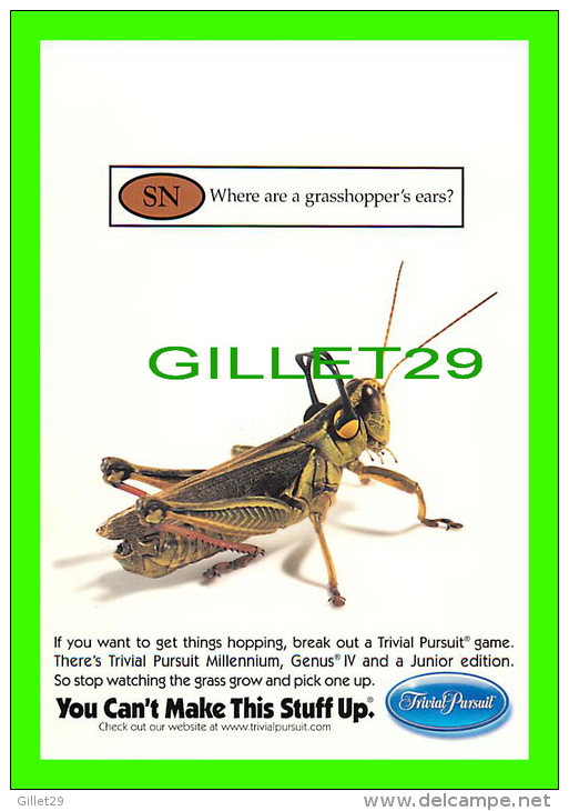 INSECTE, SAUTERELLE -PUBLICITÉ - ADVERTISING - TRIVIAL PURSUIT - SN WHERE ARE A GRASSHOPPER'S EARS ? - MAX RACKS, 2000 - - Insectes