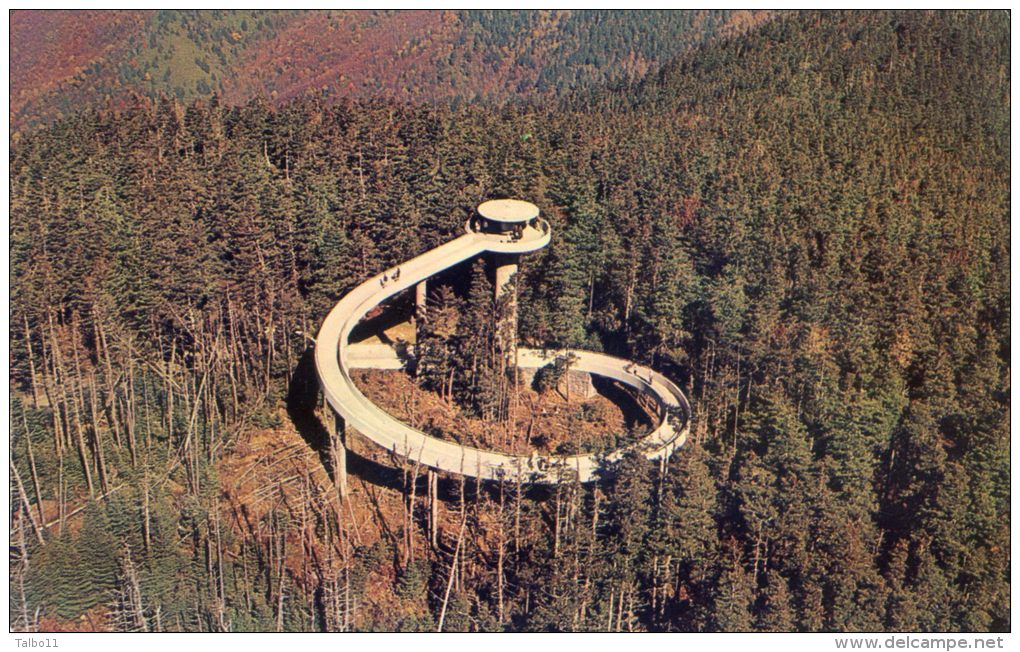 Eagle Eye View, Clingman's Dome - Sonstige & Ohne Zuordnung