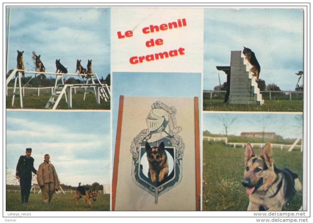 CHENIL CENTRAL DE LA GENDARMERIE NATIONALE  LE 18 07 1979 - Gramat