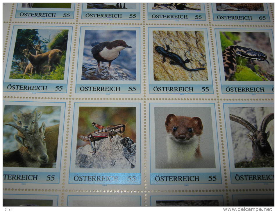 Austria,Fauna,Universum, Owl, Eagle, Snake, Lizard, Chamois, Butterfly Etc Bogen,20 Diff.Personalised Stamp, MNH Austria - Other & Unclassified