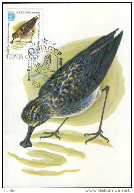 Russia-Maximum Postcard,maxicard 1982-  Birds-Spoon-billed Sanpiper  (Eurynorhynchus Pygmeus) - Storchenvögel