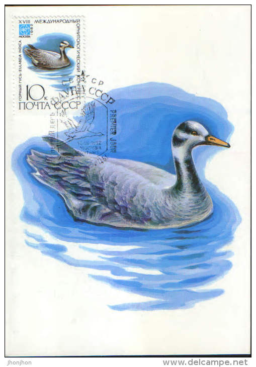 Russia-Maximum Postcard,maxicard 1982-  Bar-headed Goose (eulabeia Indica) - Oies