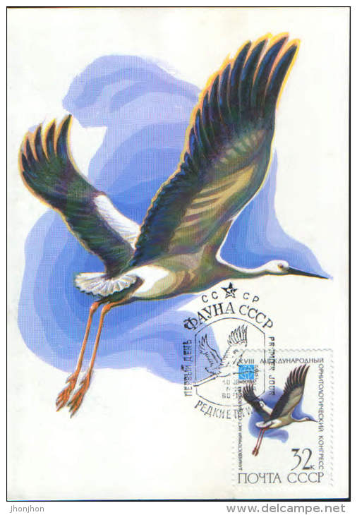 Russia-Maximum Postcard,maxicard 1982-  Oriental Storck (Ciconia Boyciana) - Cigognes & échassiers