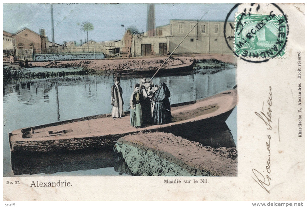 EGYPTE - ALEXANDRIE  - Maadié Sur Le NIL - PRECURSEUR  1903 - Alexandrie