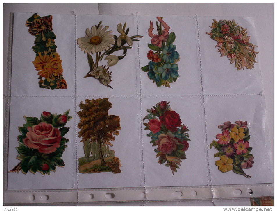 ""   LOT  DE  8  DECOUPIS GAUFRES  //   TAILLE  MOYENNE  --     FLEURS  //  PAGE  21 X 30  "" - Bloemen