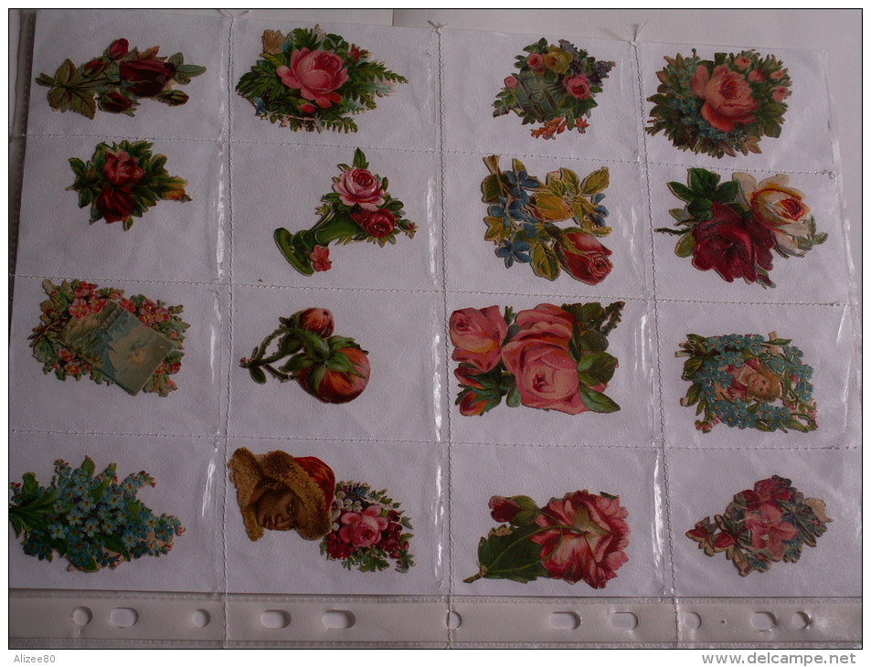 ""   LOT  DE  16  DECOUPIS //    PETITE  TAILLE  --     FLEURS  //  PAGE  21 X 30  "" - Fiori