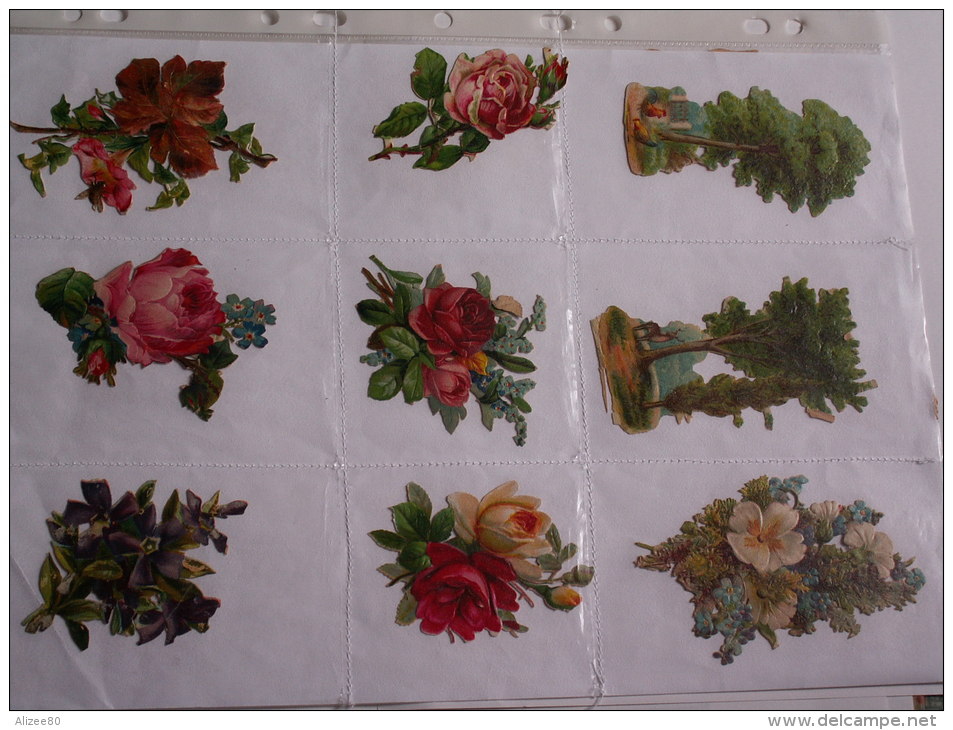 ""   LOT  DE  9  DECOUPIS GAUFRES  //  TAILLE  MOYENNE  --     FLEURS  //  PAGE  21 X 30  "" - Fleurs