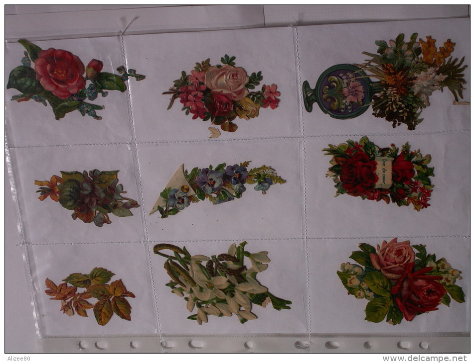 ""   LOT  DE  9  DECOUPIS GAUFRES  //  TAILLE  MOYENNE  --     FLEURS  //  PAGE  21 X 30  "" - Flowers