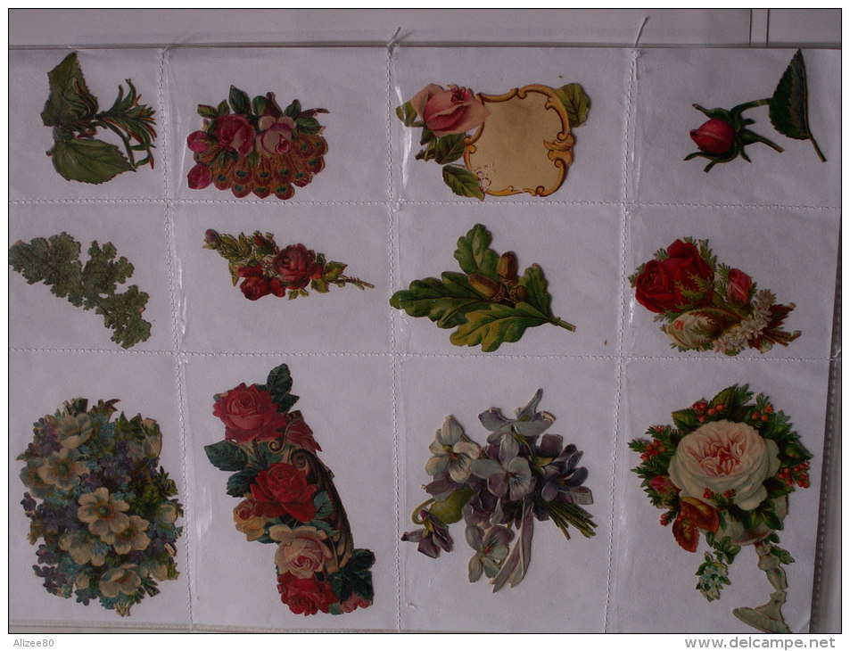 ""   LOT  DE  12  DECOUPIS GAUFRES   //  TAILLES  DIVERSES  --     FLEURS  //  PAGE  21 X 30  "" - Fiori