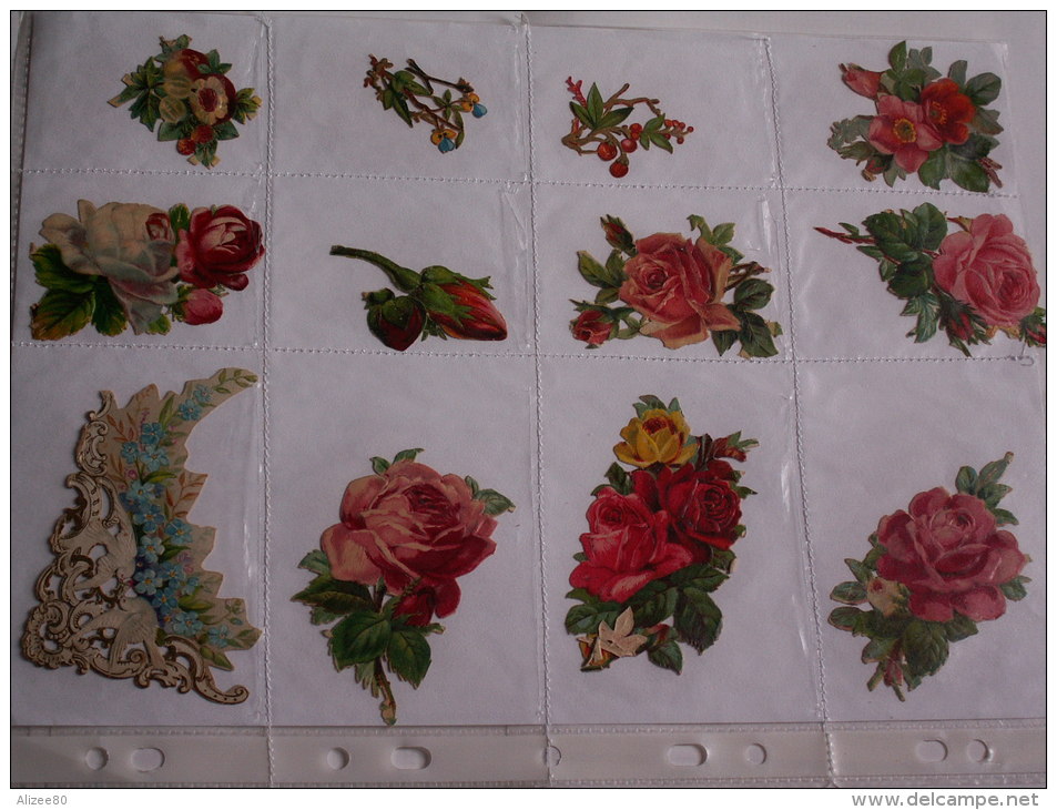 ""   LOT  DE  12  DECOUPIS GAUFRES  //  TAILLES  DIVERSES  --     FLEURS  //  PAGE  21 X 30  "" - Fiori