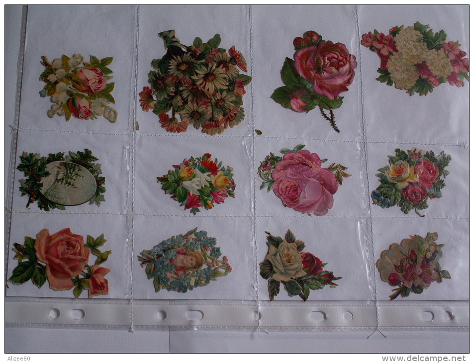 ""   LOT  DE  12  DECOUPIS  GAUFRES  //  TAILLE  MOYENNE  --   FLEURS  //  PAGE  21 X 30  "" - Flowers