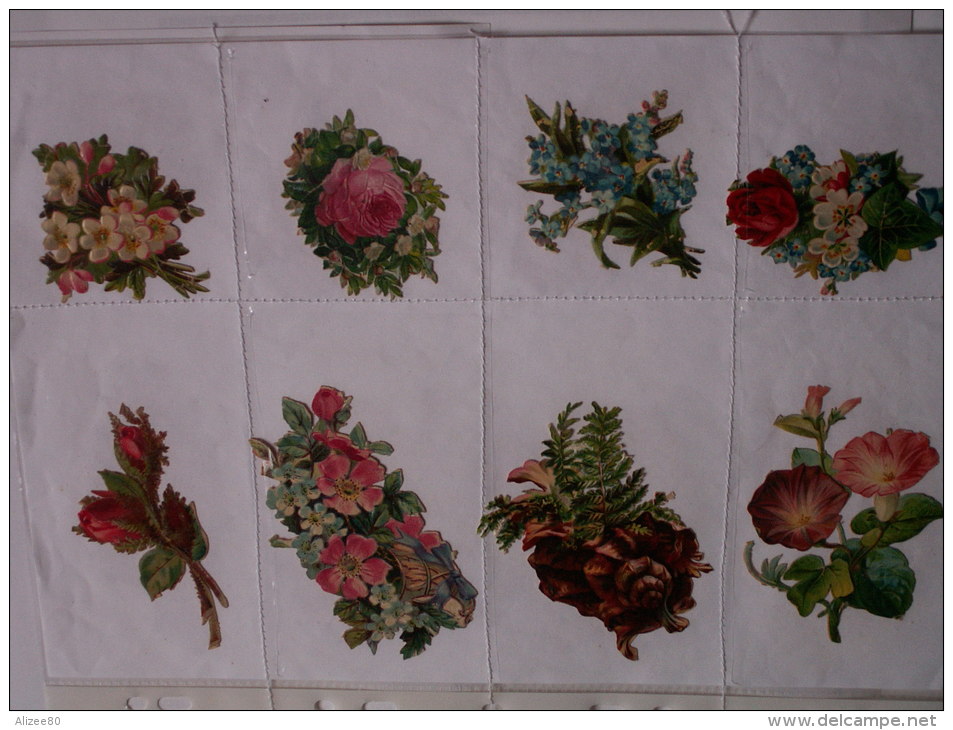 ""   LOT  DE  8  DECOUPIS  GAUFRES  //  TAILLES  DIVERSES  --   FLEURS  //  PAGE  21 X 30  "" - Fiori