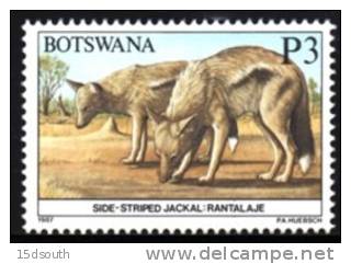 Botswana - 1987 Animals P3 Jackal (**) # SG 637 , Mi 421 - Botswana (1966-...)