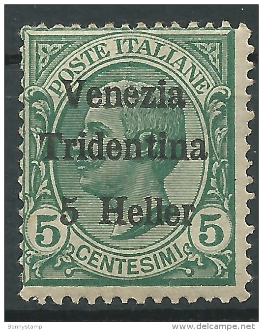 Venezia Tridentina, 1919 Fr. Del 1906-17 Sovrastampati  "Venezia Tridentina  5 Heller" Su 5c. Verde . - Trento