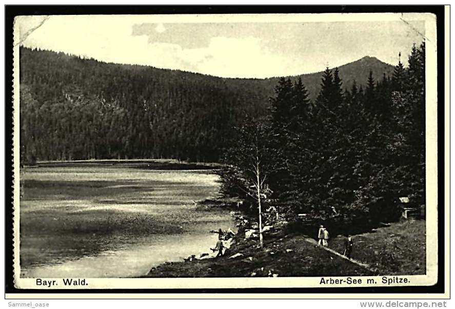 Bayr. Wald  -  Arber-See Mit Spitze  -  Ansichtskarte Ca.1912    (2697) - Bodenmais