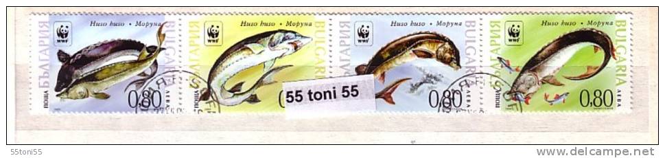 Bulgaria / Bulgarie 2004 WWF - FISH ( Hausen ) 4v.- Used/oblitere (O) - Used Stamps