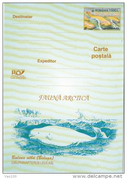 WHALES, THE BELUGA, WHITE WHALE, PC STATIONERY, ENTIER POSTAL, 2003, ROMANIA - Balene