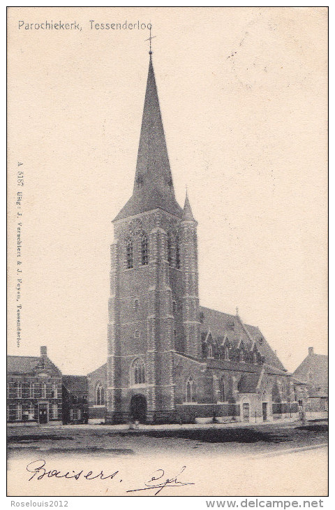 TESSENDERLO : Parochiekerk - Tessenderlo