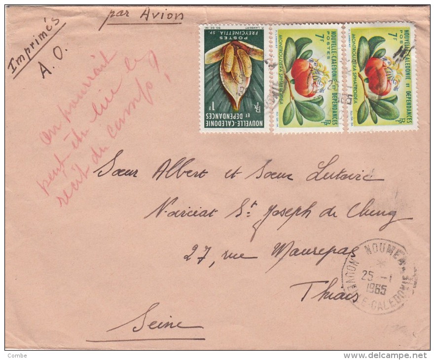 1965,  LETTRE , NOUVELLES CALEDONIES, NOUMEA Pour La FRANCE, YV  319.314 /4451 - Cartas & Documentos