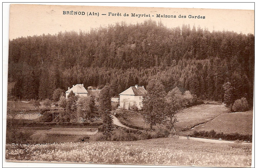 BRENOD -  Foret De Meyriet - Maisons Des Gardes ___________6857 - Unclassified