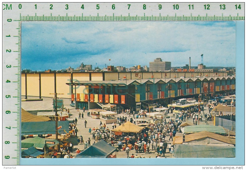 Calgary Alberta Canada  ( Calgary Stampede The Big Four Building .. ) Post Card Carte Postale - Calgary