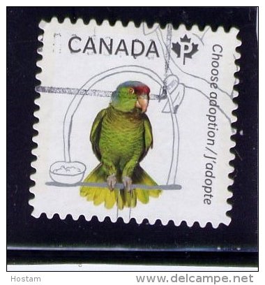 CANADA, 2013,  ADOPT A PET,    Single USED  From   BOOKLET,  PARAQUET  USED - Oblitérés