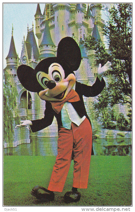 Walt Disney World - Welcome To The Magic Kingdom - Mickey Mouse (Post Card U.S.A.) - Disneyworld