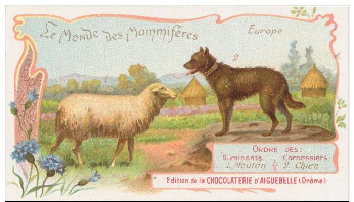 AIGUEBELLE  Le Monde Des Mammiferes MOUTON Et CHIEN - Aiguebelle