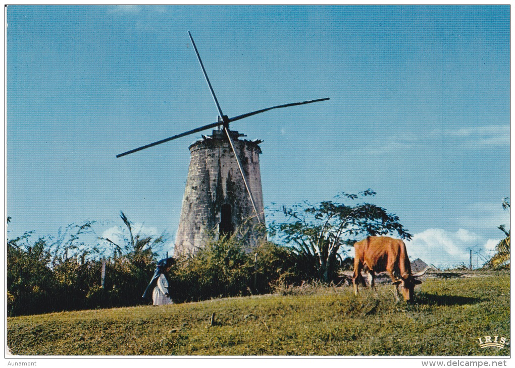 Francia--Guadeloupe--Vieux Moulin A Marie-Galante - Moulins à Vent