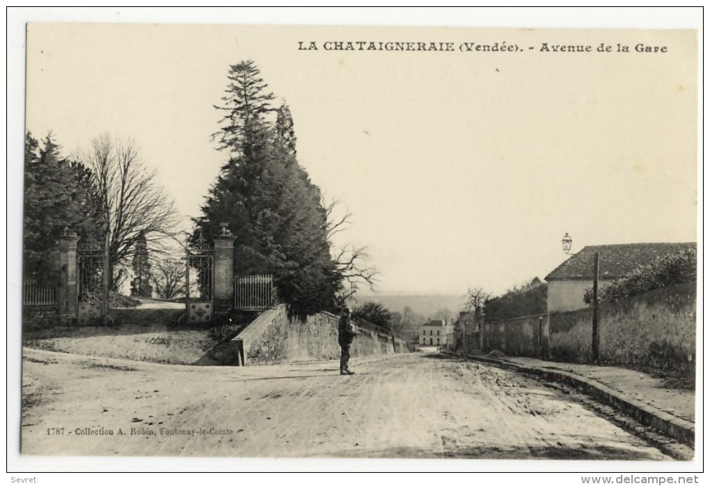 LA CHATAIGNERAIE  -   Avenue De La Gare  - . Belle Carte. - La Chataigneraie