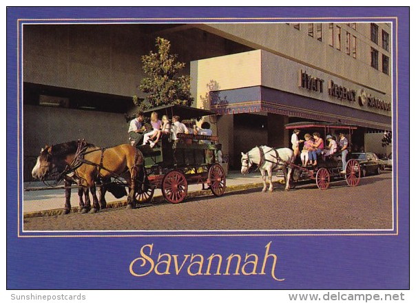 Savannah Georgia - Savannah