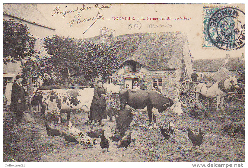 DONVILLE ... LA FERME DES BLANCS ARBRES .... POULE VACHE VOLAILLE - Other & Unclassified