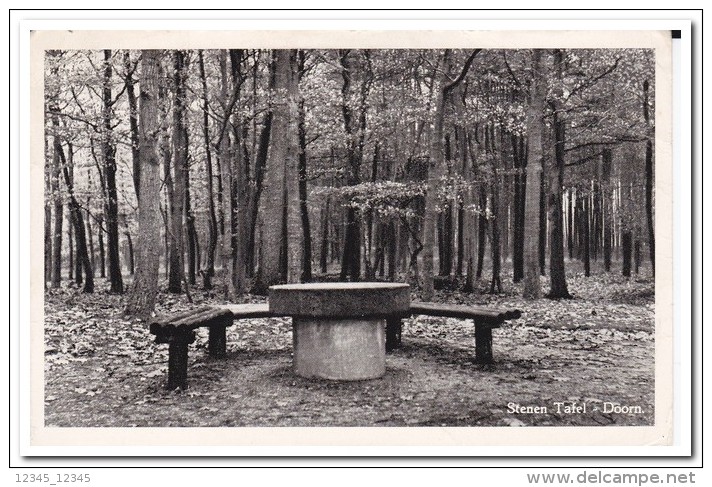 Doorn, Stenen Tafel ( Rechts Boven Vouw ) - Doorn