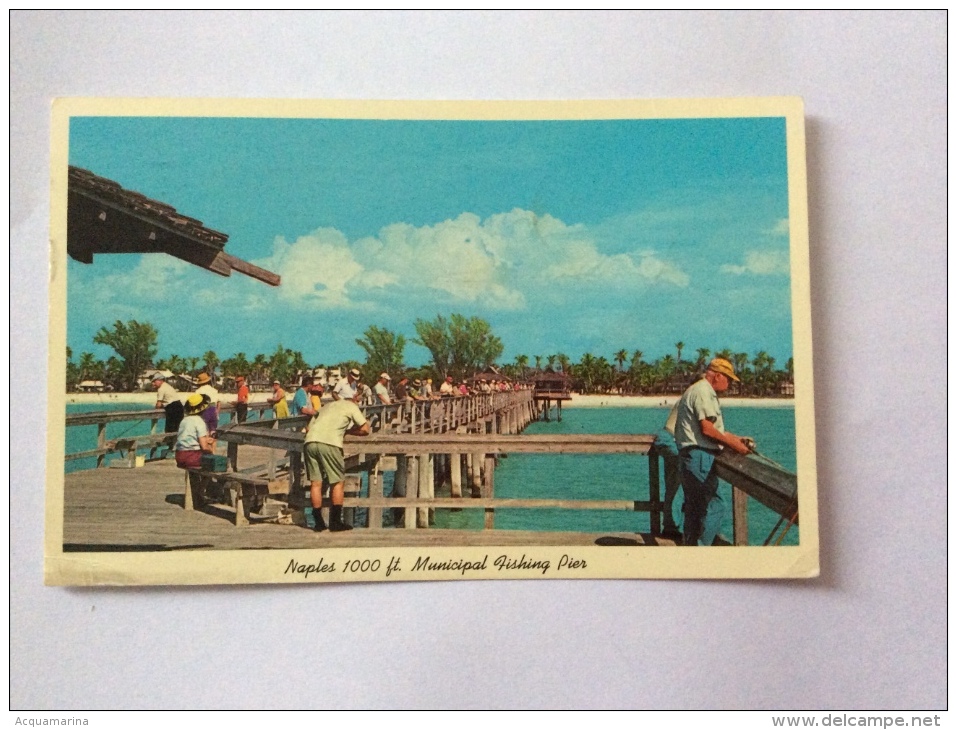 NAPLES - Municipal Fishing Pier - Cartolina FP C V 1966 - Naples